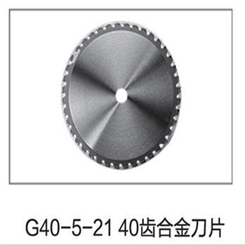 G40-5-21 40齿合金刀片